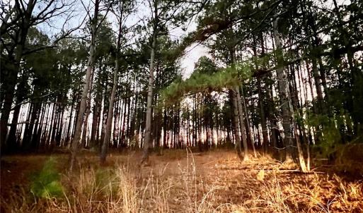 Photo #9 of TBD Wateree, Great Falls, SC