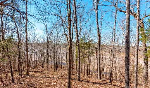 Photo #15 of 98 Great North, Winnsboro, SC