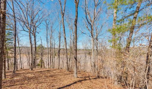 Photo #13 of 98 Great North, Winnsboro, SC