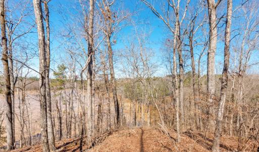 Photo #14 of 98 Great North, Winnsboro, SC