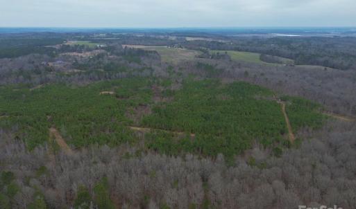 Photo #7 of White Store, Pageland, SC
