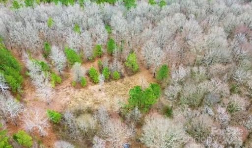 Photo #6 of White Store, Pageland, SC