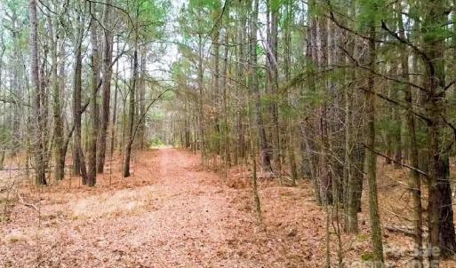Photo #5 of White Store, Pageland, SC