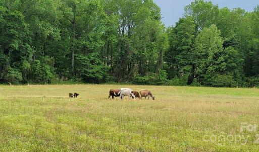 Photo #6 of 434 Macedonia Angelus, Jefferson, SC