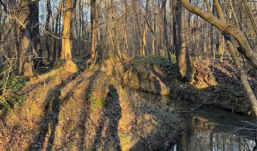 Photo #8 of Daystar, Lancaster, SC