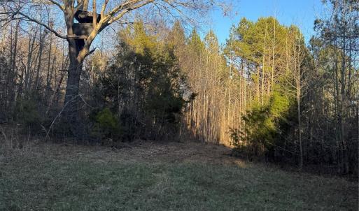 Photo #4 of Daystar, Lancaster, SC