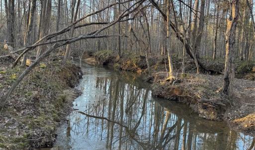 Photo #7 of Daystar, Lancaster, SC