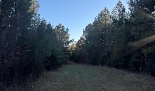 Photo #3 of Daystar, Lancaster, SC