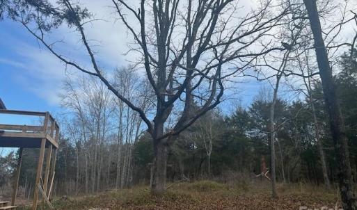Photo #13 of 5429 Flint Ridge Church, Marshville, NC