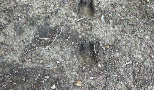 Photo #25 of 5429 Flint Ridge Church, Marshville, NC