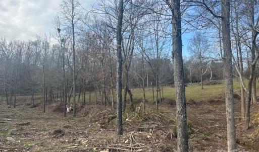 Photo #23 of 5429 Flint Ridge Church, Marshville, NC