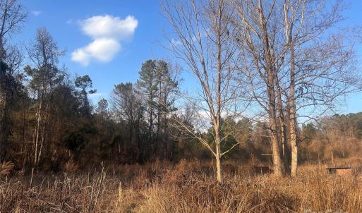 Photo #5 of 210 Ridge, Winnsboro, SC