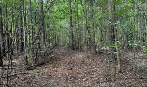 Photo #5 of Huey, Waxhaw, NC