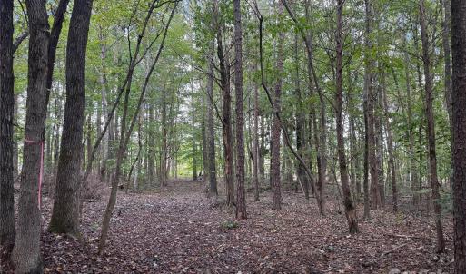 Photo #4 of Huey, Waxhaw, NC