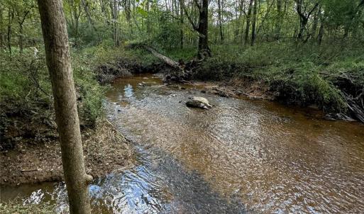 Photo #3 of Huey, Waxhaw, NC