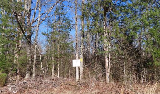 Photo #1 of lot 2 Winter, Rock Hill, SC