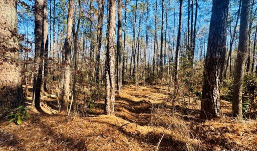 Photo #12 of Hwy 9, Wallace, SC