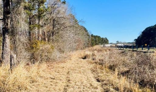 Photo #21 of Hwy 9, Wallace, SC