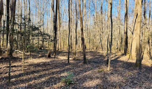 Photo #3 of Hwy 9, Wallace, SC