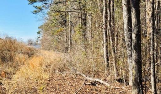 Photo #6 of Hwy 9, Wallace, SC