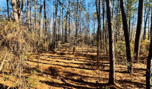 Photo #9 of Hwy 9, Wallace, SC