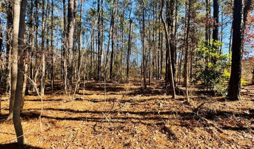 Photo #8 of Hwy 9, Wallace, SC
