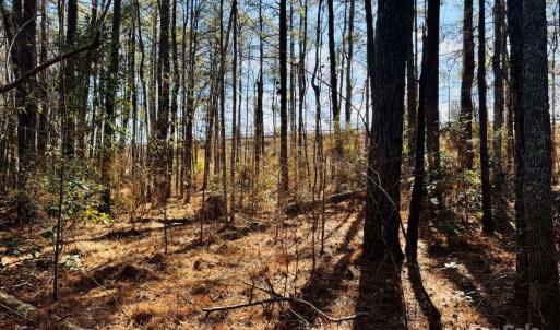 Photo #13 of Hwy 9, Wallace, SC