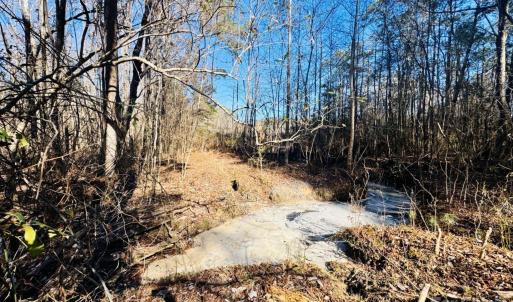 Photo #16 of Hwy 9, Wallace, SC