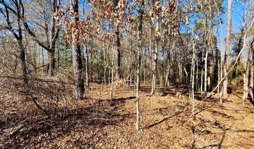 Photo #4 of Hwy 9, Wallace, SC