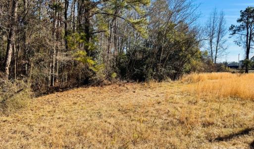 Photo #20 of Hwy 9, Wallace, SC