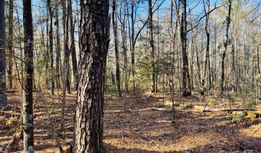 Photo #14 of Hwy 9, Wallace, SC