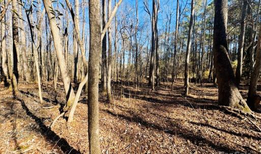 Photo #18 of Hwy 9, Wallace, SC