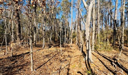 Photo #5 of Hwy 9, Wallace, SC