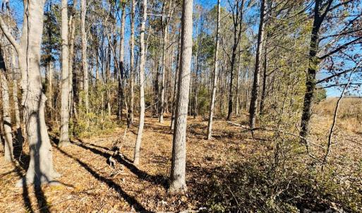 Photo #2 of Hwy 9, Wallace, SC