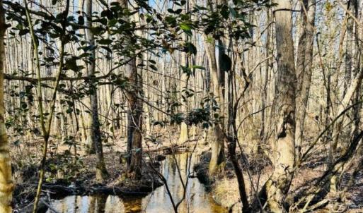 Photo #15 of Hwy 9, Wallace, SC