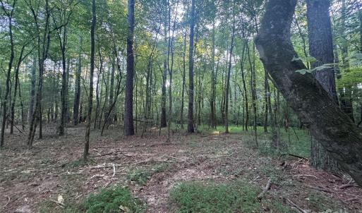 Photo #15 of 110 Serenity Creek, Waxhaw, NC