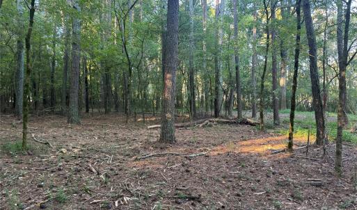 Photo #12 of 110 Serenity Creek, Waxhaw, NC