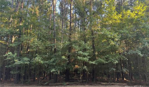 Photo #18 of 110 Serenity Creek, Waxhaw, NC