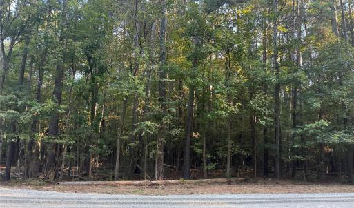 Photo #17 of 110 Serenity Creek, Waxhaw, NC