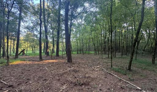 Photo #13 of 110 Serenity Creek, Waxhaw, NC