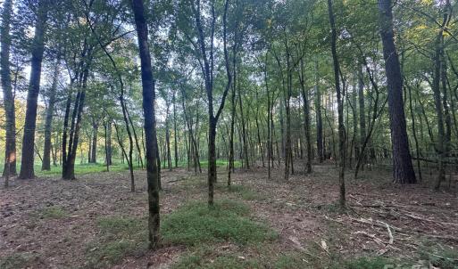 Photo #14 of 110 Serenity Creek, Waxhaw, NC