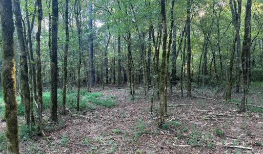 Photo #10 of 110 Serenity Creek, Waxhaw, NC