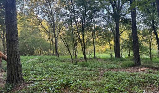 Photo #2 of 110 Serenity Creek, Waxhaw, NC