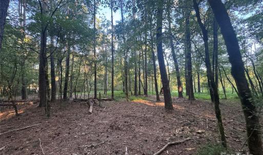 Photo #16 of 110 Serenity Creek, Waxhaw, NC