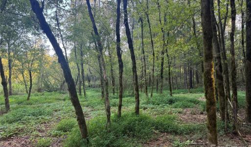 Photo #9 of 110 Serenity Creek, Waxhaw, NC