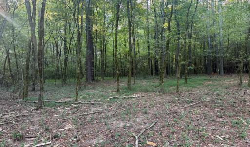 Photo #11 of 110 Serenity Creek, Waxhaw, NC