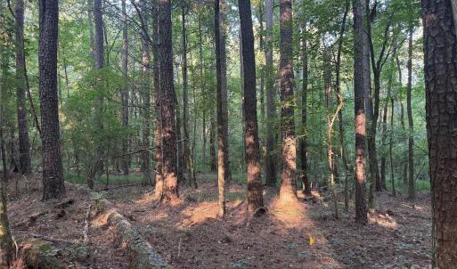 Photo #13 of 106 Serenity Creek, Waxhaw, NC