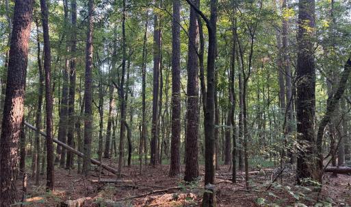 Photo #16 of 106 Serenity Creek, Waxhaw, NC