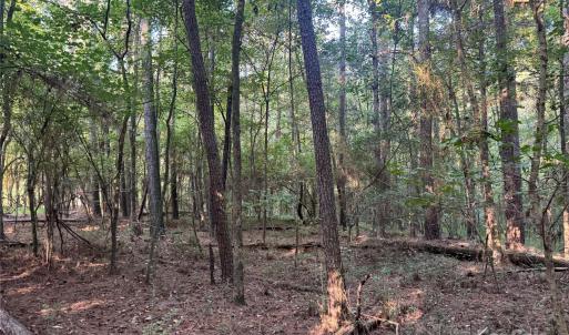 Photo #11 of 106 Serenity Creek, Waxhaw, NC