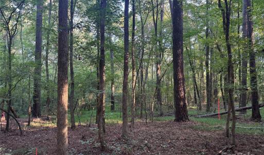 Photo #14 of 106 Serenity Creek, Waxhaw, NC